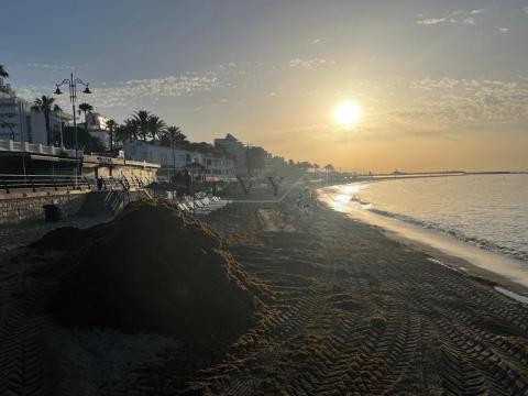 Málaga